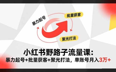 小红书野路子流量课：爆栗起号+批量获客+聚光打法，单账号月入3万+