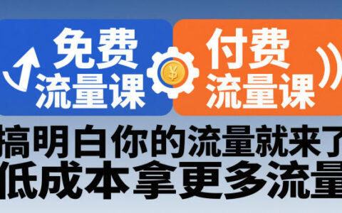 拼多多流量课程实战：免费+付费策略拆解，低成本获取更多流量