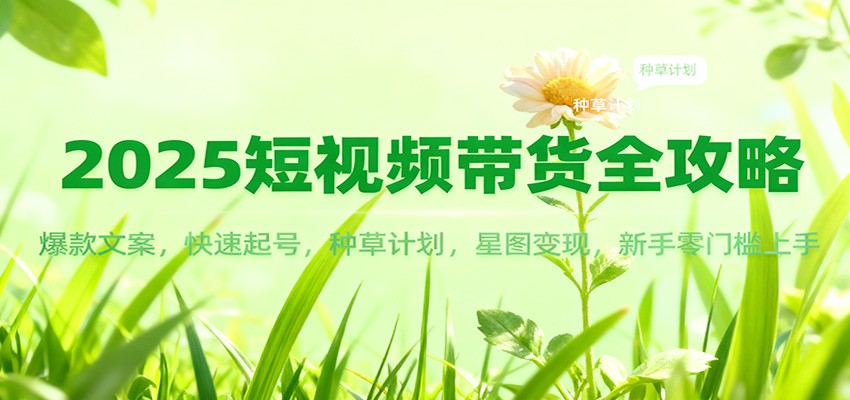 2025短视频带货全攻略：文案策略、快速起号方法、种草计划实操、星图变现案例，新手入门指南