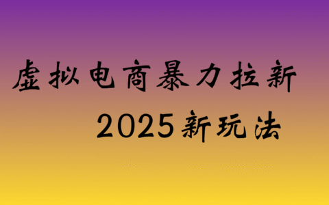 2025虚拟电商高效拉新策略：实操盈利教程