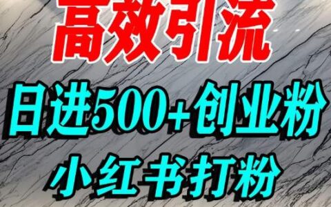 小红书300步骤0元预算项目实操：单人高效引流精准创业粉的实战指南