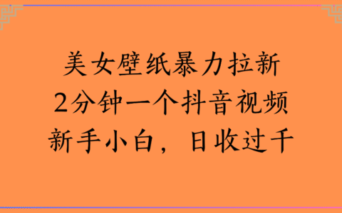 美女壁纸抖音引流实操：新手2分钟视频变现过千变现攻略