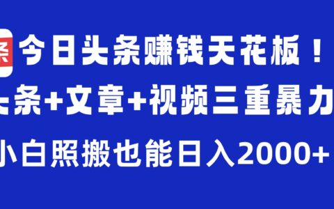 今日头条高效变现攻略：微头条+文章+视频三重实操方法，新手照搬指南