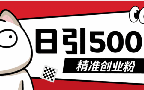 抖音引流创业粉高效实操指南：几分钟一个视频，新手轻松上手