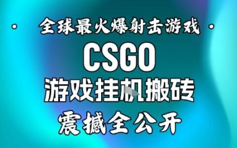 【年终分享】CSGO游戏赚钱策略实操指南：被动收入思路与案例拆解