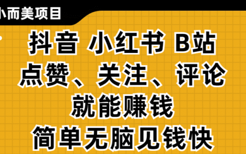 小而美的项目：抖音、小红书、B站视频点赞关注评论变现实操指南