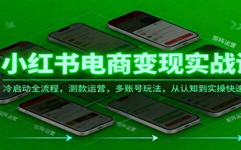 小红书电商变现实战课：冷启动全流程、测款运营与多账号玩法，从认知到实操高效起店