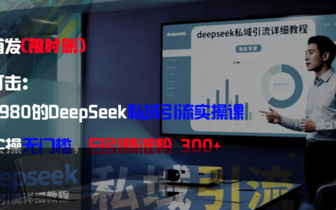 DeepSeek私域引流实战课：新手无门槛实操，高效精准粉丝变现指南