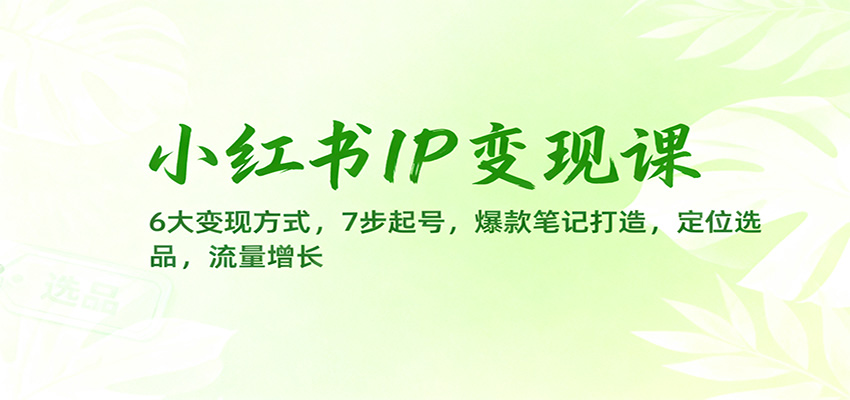 小红书IP变现实战指南：6种变现方法，7步账号启动，爆款笔记策略，定位选品与流量增长