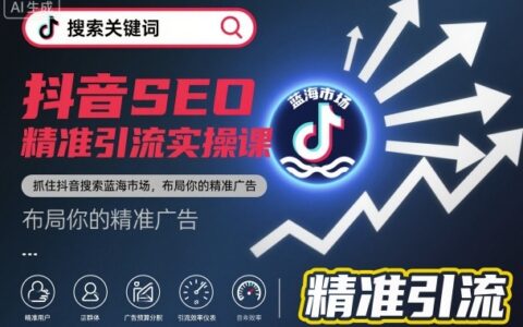 抖音SEO精准引流实战指南：掌握抖音搜索蓝海策略，布局精准流量变现