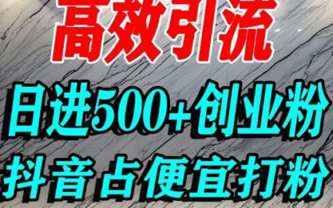 2025抖音创业粉引流实战策略：高效精准流量获取方法
