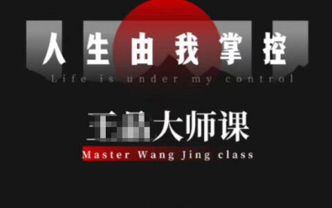 流量破局实战攻略：从素人进阶，实现流量变现与价值双丰收
