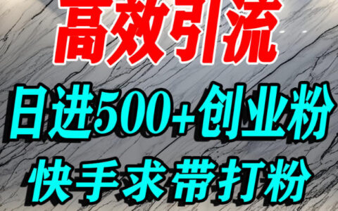 2025快手实战视角：宝妈与学生群体高效引流创业粉攻略