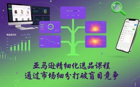2025亚马逊精细化选品课程：市场细分策略避免盲目竞争