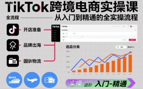 TikTok跨境电商变现实战指南：完整路径解析
