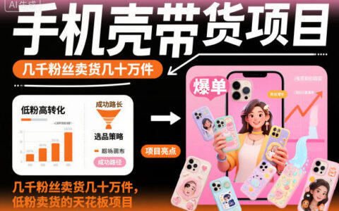 2025手机壳带货实战案例：低粉账号月销万单的高效思路