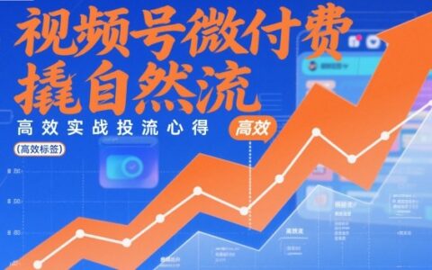 2025视频号微付费实战策略：高效自然流量变现指南