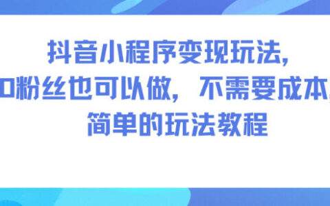 抖音小程序变现攻略：零粉丝可做，低成本入门实战教程