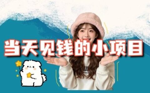 20253个小项目实战拆解：平台操作与变现思路指南