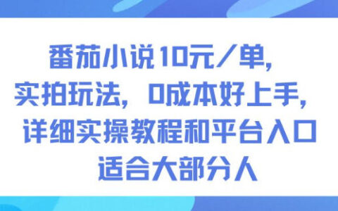 番茄小说每单收益实测玩法，低成本好上手，详细实操教程和平台入口适合大多数人