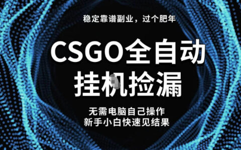 【稳定副业】CSGO高效捡漏策略：新手实测变现指南