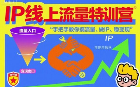 IP流量实战指南：手把手教你获取流量、打造个人品牌与变现方法