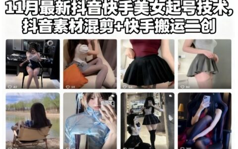 11月最新抖音快手账号起号变现方法：素材混剪与二创实操指南