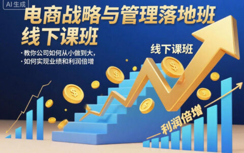 电商战略与管理落地班线下课：从小做到大的实战指南，业绩利润提升案例【录音】