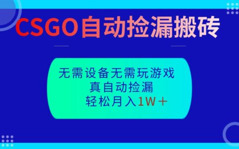 CSGO自动捡漏搬砖，当天操作当天见结果，无需了解游戏，包教包会包落地