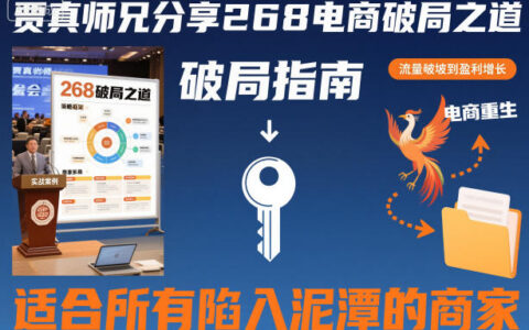贾真师兄268电商破局实战指南-助力困境商家变现策略
