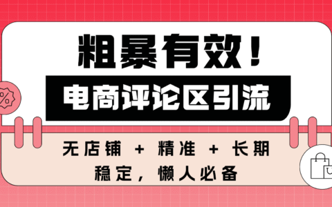 高效实测！电商评论区引流策略：无店铺 + 精准 + 长期，轻松变现指南