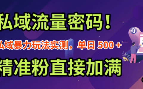 2025私域流量高效策略实测：精准引流与变现实操指南