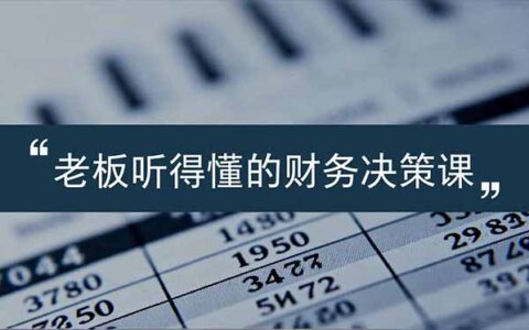 老板易懂的财务决策实战课：报表解读、数据洞察、风险识别，助力业务增长策略