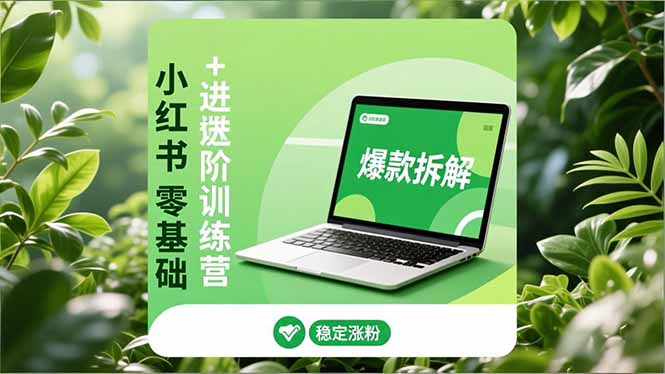 小红书零基础到高阶实操指南：安全养号策略、爆款拆解案例、长效运营方法，实现稳定涨粉与变现