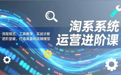 淘系系统运营进阶课2.0：流程规范、工具教学、实战诊断，进阶突破打造店铺盈利实操策略
