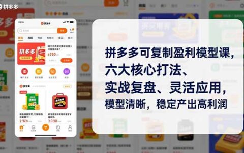 拼多多盈利模型实战课程：六大核心策略、案例复盘与灵活应用，清晰模型助力收益提升
