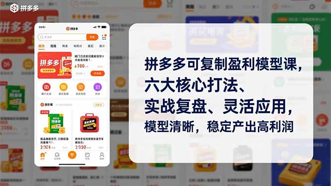 拼多多盈利模型实战课程：六大核心策略、案例复盘与灵活应用，清晰模型助力收益提升