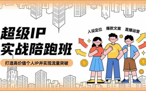 超级IP实战课程：人设定位、爆款文案、直播运营，打造高价值个人IP流量变现指南