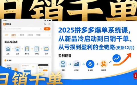 2025拼多多高效销售策略课：从新品冷启动到盈利实战全链路（含12月更新案例）