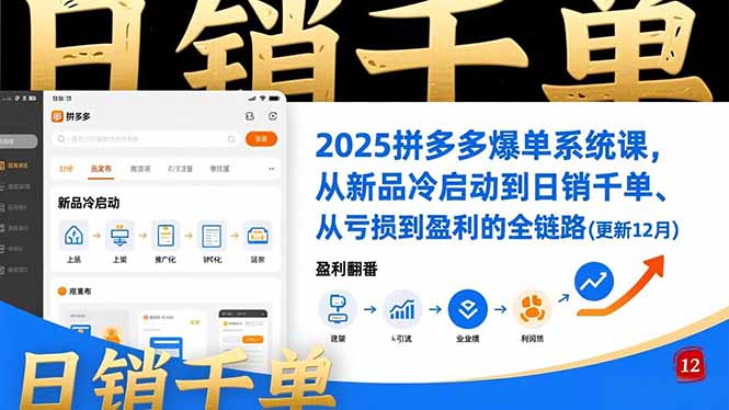 2025拼多多高效销售策略课：从新品冷启动到盈利实战全链路（含12月更新案例）