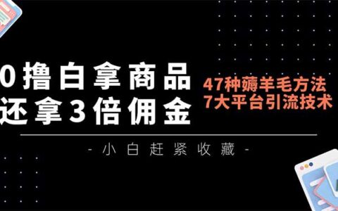 47种收益方法实操指南：7大平台引流技术教学，低成本商品获取与佣金倍增策略