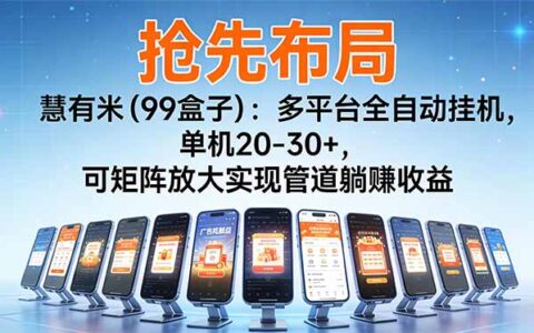 慧有米（99盒子）实战拆解：多平台被动收入策略，可矩阵放大实现管道收益