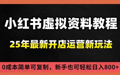小红书虚拟资料项目：搜索流量变现实战攻略，低成本可复制策略，一人多店实操案例
