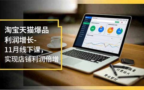 淘宝天猫店铺利润提升实战课：11月线下开讲，免费流量、付费放大与费比管控策略指南