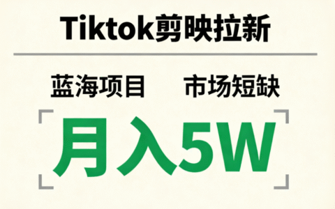 TikTok剪映拉新蓝海项目实操指南：市场短缺下的变现策略