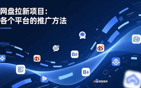 网盘推广项目实战指南：公众号、截留玩法、微博、B站、百度智能体方法拆解