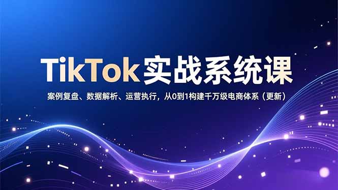 TikTok电商实战教程：案例复盘、数据解析与运营执行，从0到1构建高效变现体系（更新）