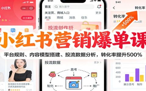 小红书营销实战教程：平台规则、内容模型搭建与投流数据分析，高效转化策略指南