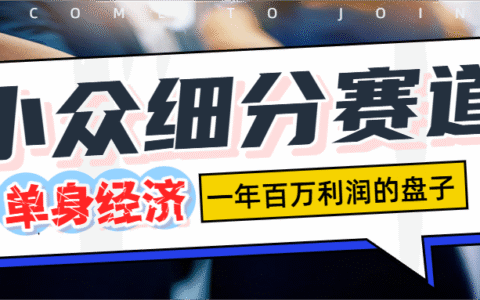 2025单身经济赛道变现实战攻略