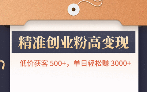精准创业粉变现策略：低成本获客500方法，单日收益实战指南